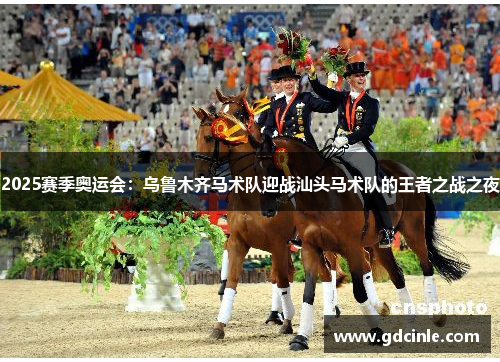 2025赛季奥运会：乌鲁木齐马术队迎战汕头马术队的王者之战之夜