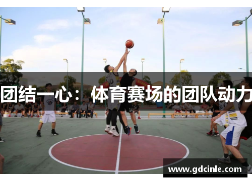 团结一心：体育赛场的团队动力