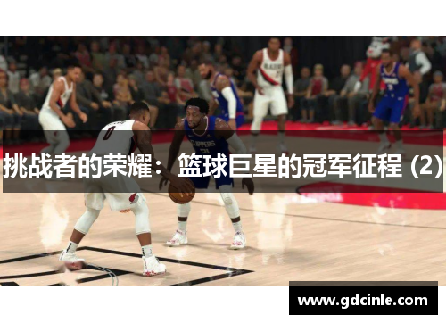 挑战者的荣耀：篮球巨星的冠军征程 (2)